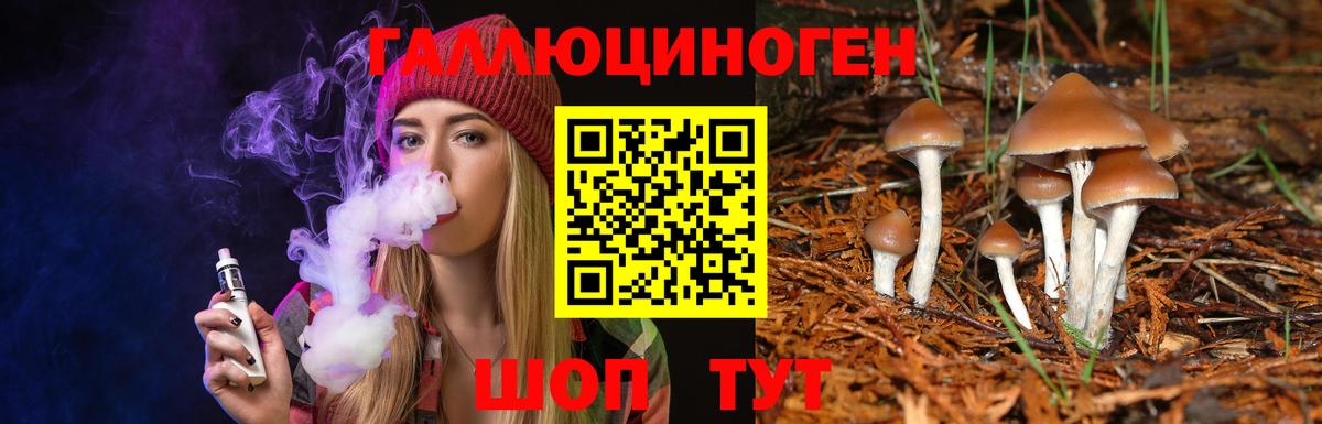 Псилоцибиновые грибы Cubensis Грозный